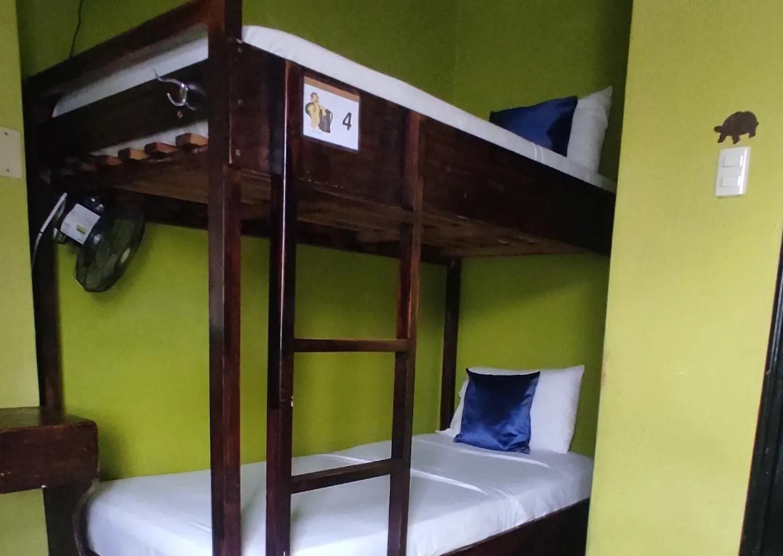 Dreamkapture Hostel Close To The Airport And Bus Terminal Guayaquil Ecuador